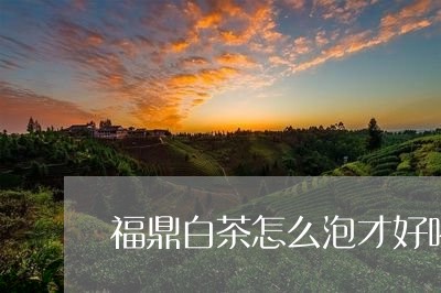 福鼎白茶怎么泡才好喝视频/2023110988281