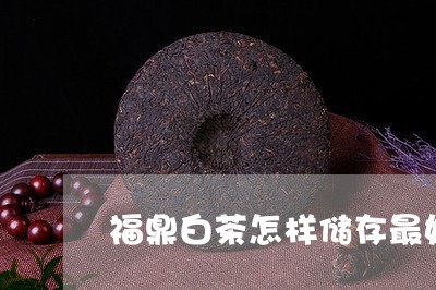 福鼎白茶怎样储存最好/2023120715068