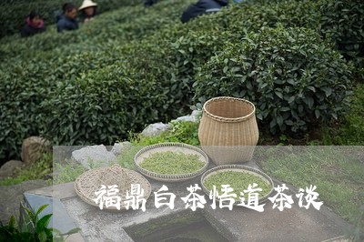 福鼎白茶悟道茶谈/2023062875069