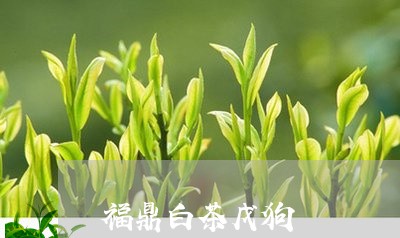 福鼎白茶戊狗/2023052270704