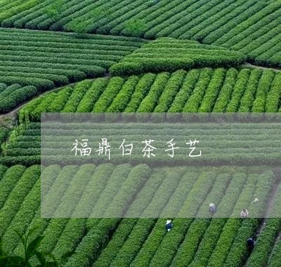 福鼎白茶手艺/2023052286158