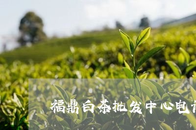 福鼎白茶批发中心电话多少/2023110984738