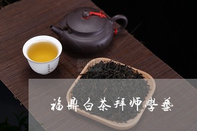 福鼎白茶拜师学艺/2023062885358