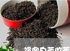 福鼎白茶收茶青需要哪几点/2023110987362