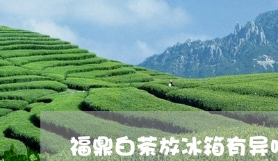 福鼎白茶放冰箱有异味/2023120872806