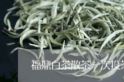 福鼎白茶散茶一次投茶几克/2023041752704