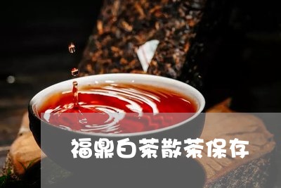 福鼎白茶散茶保存/2023112598169