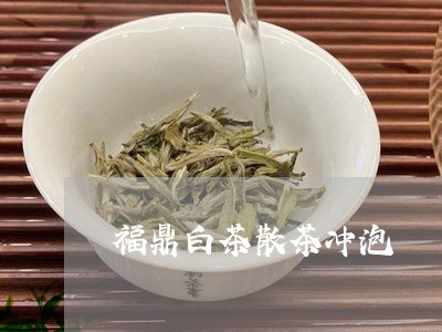 福鼎白茶散茶冲泡/2023090562015