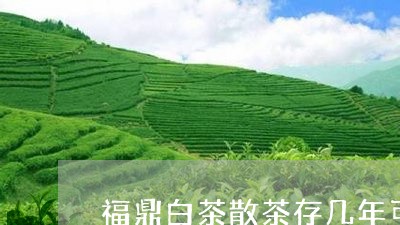 福鼎白茶散茶存几年可喝了/2023041784927