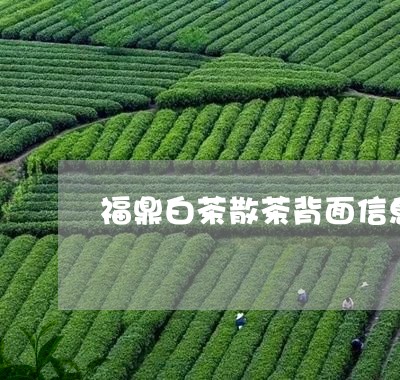 福鼎白茶散茶背面信息/2023120899370