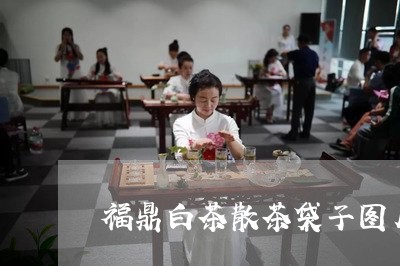 福鼎白茶散茶袋子图片欣赏/2023111575140