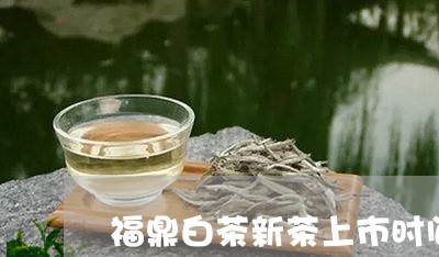 福鼎白茶新茶上市时间/2023092060471