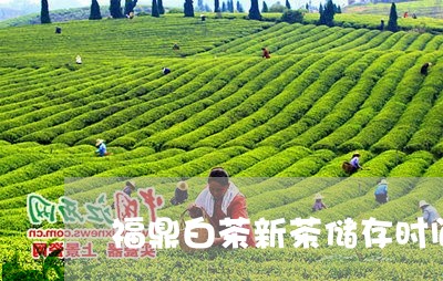 福鼎白茶新茶储存时间/2023092034836