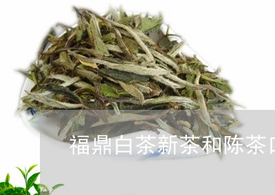 福鼎白茶新茶和陈茶口感/2023092275481