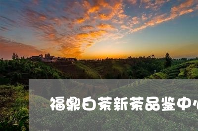 福鼎白茶新茶品鉴中心地址/2023041786057