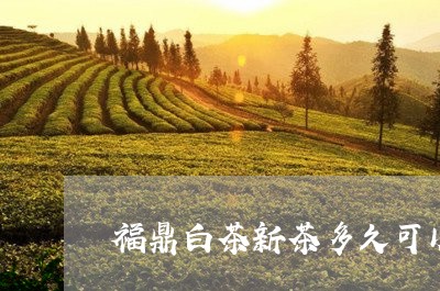 福鼎白茶新茶多久可以上市卖/2023062963946