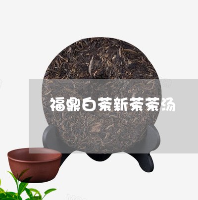 福鼎白茶新茶茶汤/2023090530501