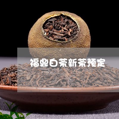 福鼎白茶新茶预定/2023112699361