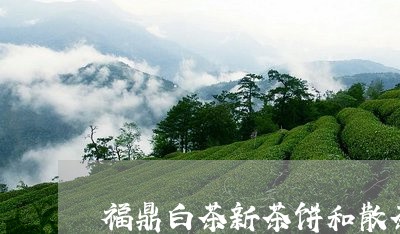 福鼎白茶新茶饼和散茶区别/2023041740695