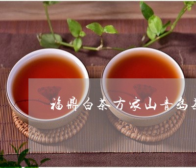 福鼎白茶方家山青岛茶博会/2023041732716