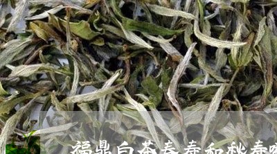 福鼎白茶春寿和秋寿哪个好/2023041768593