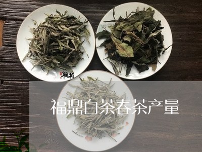 福鼎白茶春茶产量/2023082558415