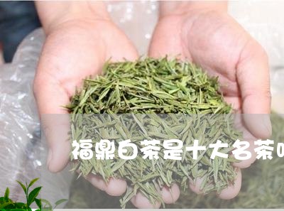 福鼎白茶是十大名茶吗/2023120732814