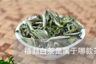 福鼎白茶是属于哪款茶/2023062825138