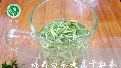 福鼎白茶是属于红茶/2023091395940