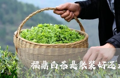 福鼎白茶是散装好还是茶饼好/2023111513825