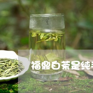 福鼎白茶是纯手工茶吗/2023120627261