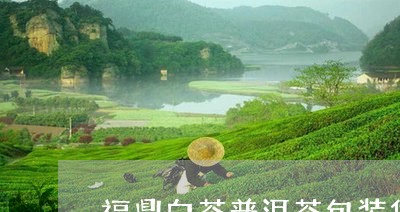 福鼎白茶普洱茶包装袋/2023120726181