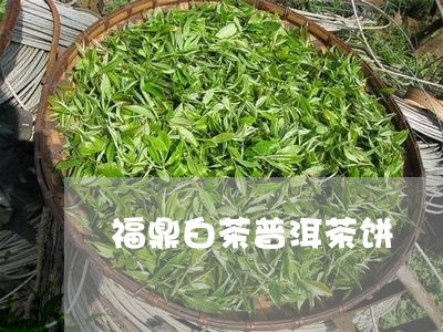 福鼎白茶普洱茶饼/2023112662613