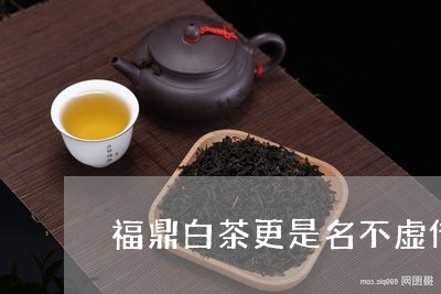 福鼎白茶更是名不虚传/2023091595837