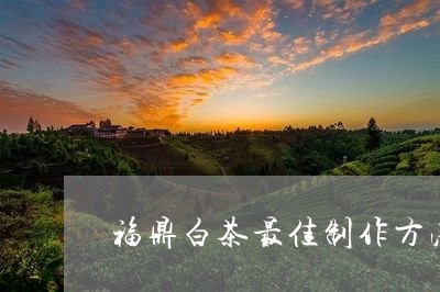 福鼎白茶最佳制作方法图片/2023110937360