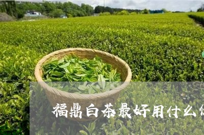 福鼎白茶最好用什么保存/2023092191825