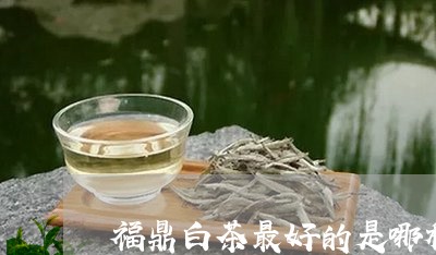 福鼎白茶最好的是哪种/2023092047471