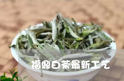 福鼎白茶最新工艺/2023090981615