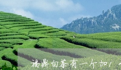 福鼎白茶有一个加1号/2023092005147