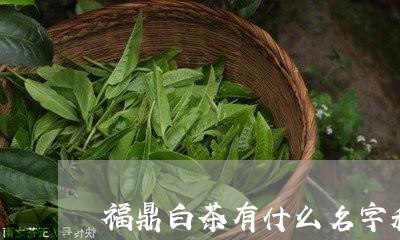 福鼎白茶有什么名字和图片/2023042614825