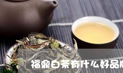 福鼎白茶有什么好品牌吗/2023110205148