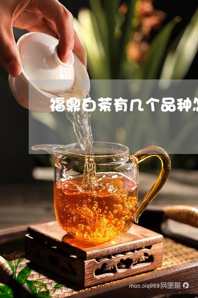 福鼎白茶有几个品种怎么区分的/2023062807168