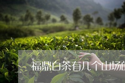 福鼎白茶有几个山场的/2023120827060