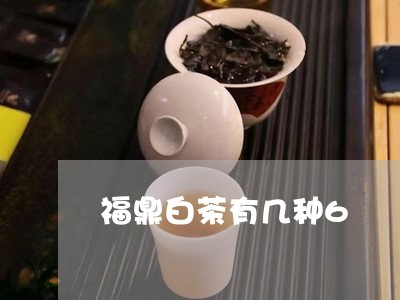 福鼎白茶有几种6/2023112569693