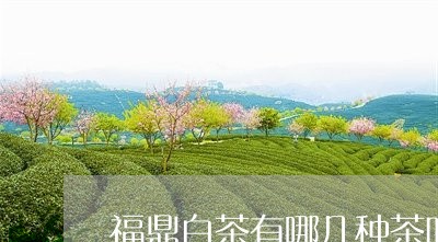 福鼎白茶有哪几种茶叶图片/2023110972795