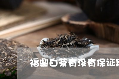 福鼎白茶有没有保证期的/2023092251726