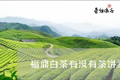 福鼎白茶有没有茶饼卖呀/2023092173846