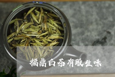 福鼎白茶有股生味/2023112505838