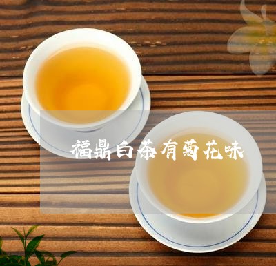 福鼎白茶有菊花味/2023070711602