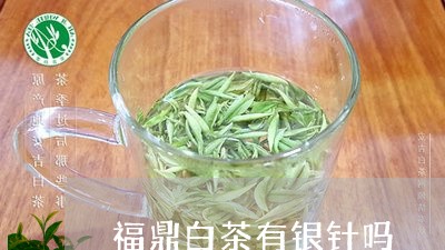 福鼎白茶有银针吗/2023112691514